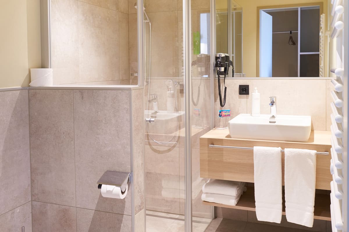 shower, free toiletries, hair dryer, towels