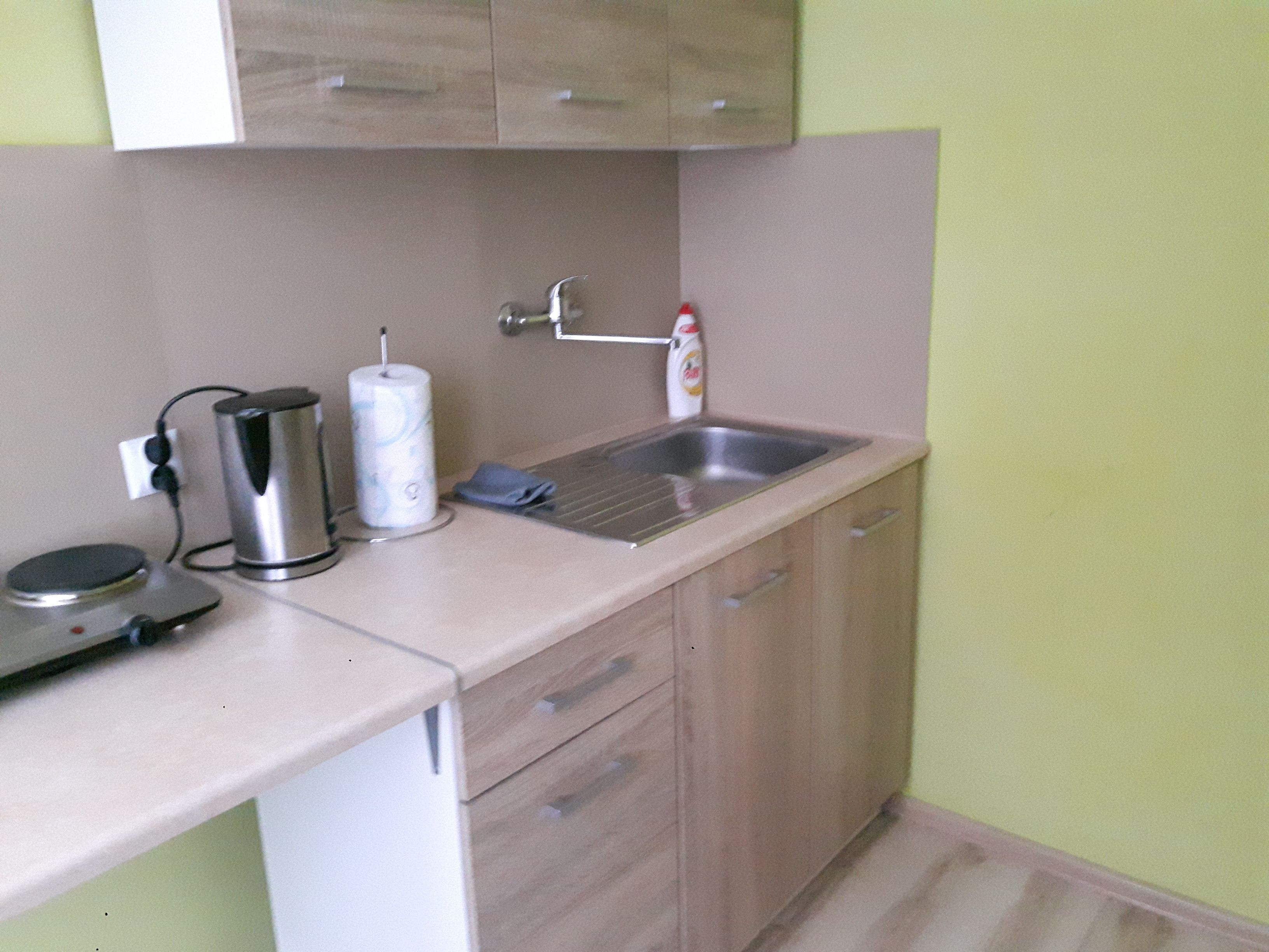 Una pequeña cocina de apoyo con un lavabo, una tetera, un rollo de toallas de papel y una botella de detergente.