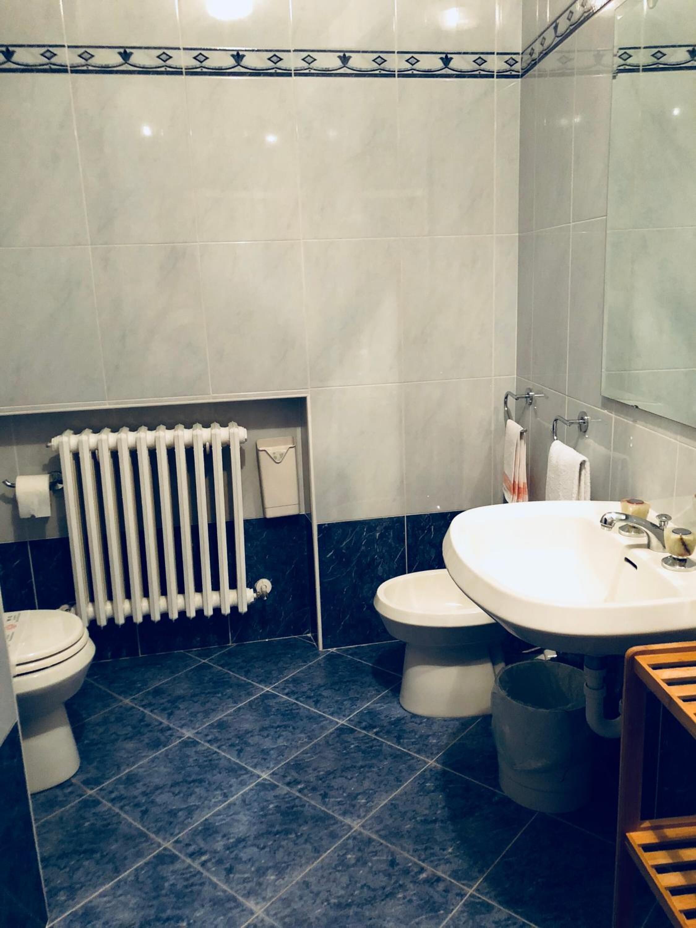 shower, free toiletries, hair dryer, bidet