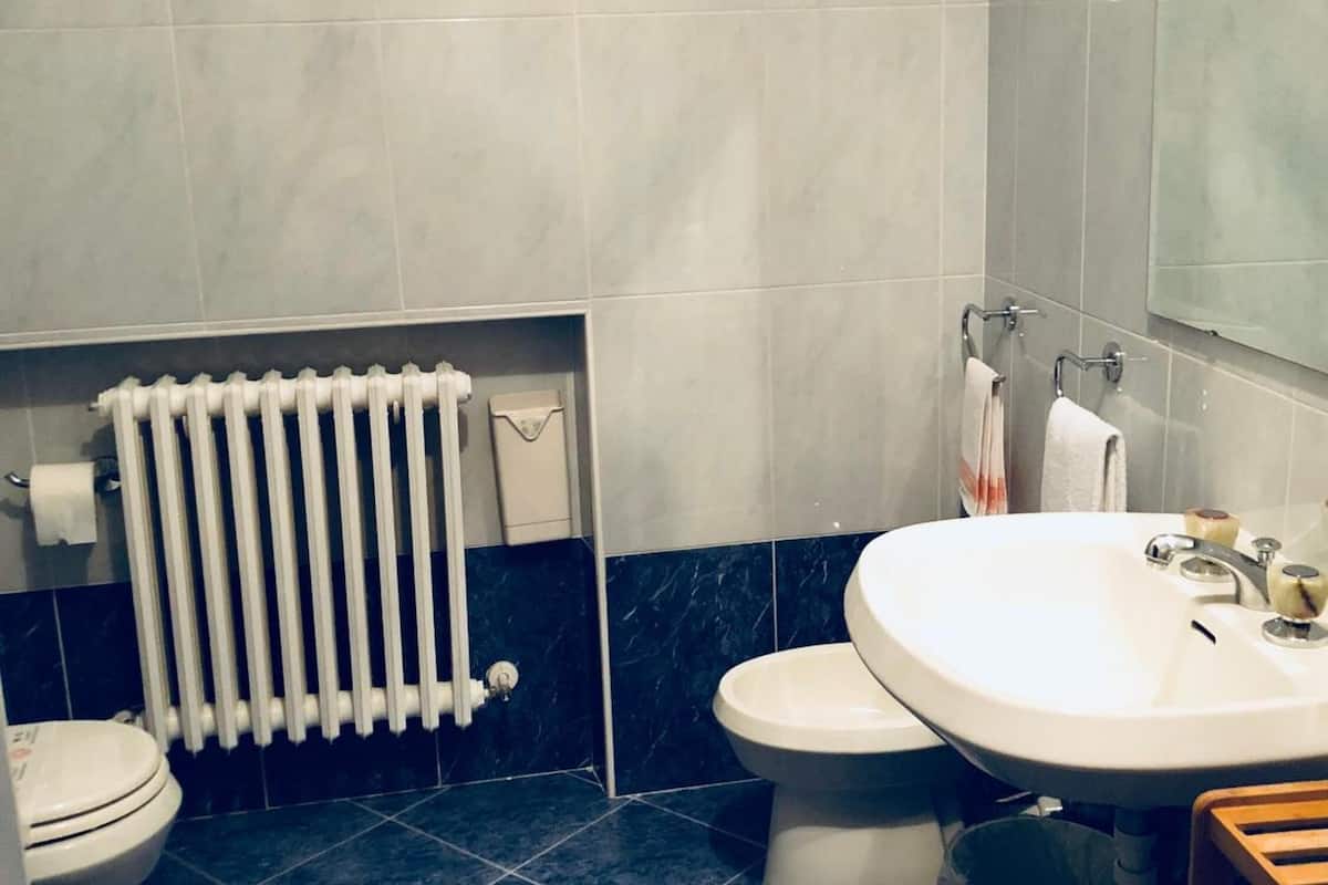 shower, free toiletries, hair dryer, bidet