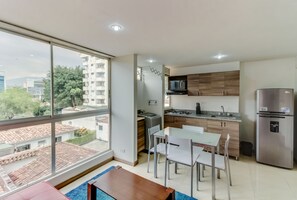 Apartment | Eigene Küche | Kühlschrank, Mikrowelle, Herdplatte, Wasserkocher mit Kaffee-/Teezubehör