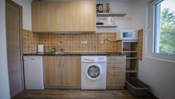 Fridge, microwave, stovetop, electric kettle