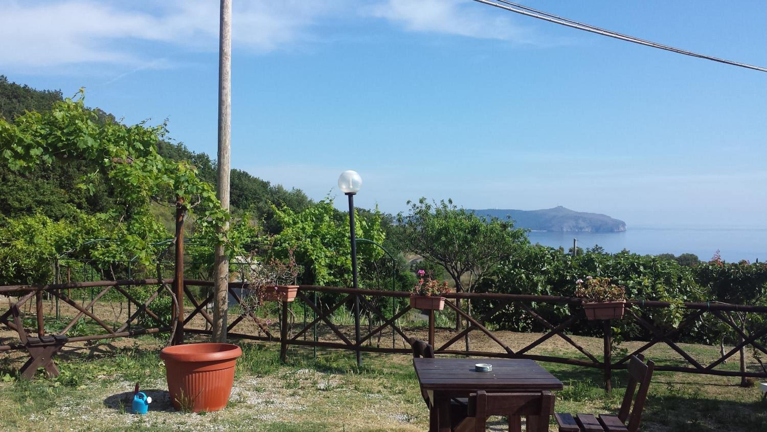 Un vignoble avec une table et des chaises, un lampadaire et une vue sur la mer.