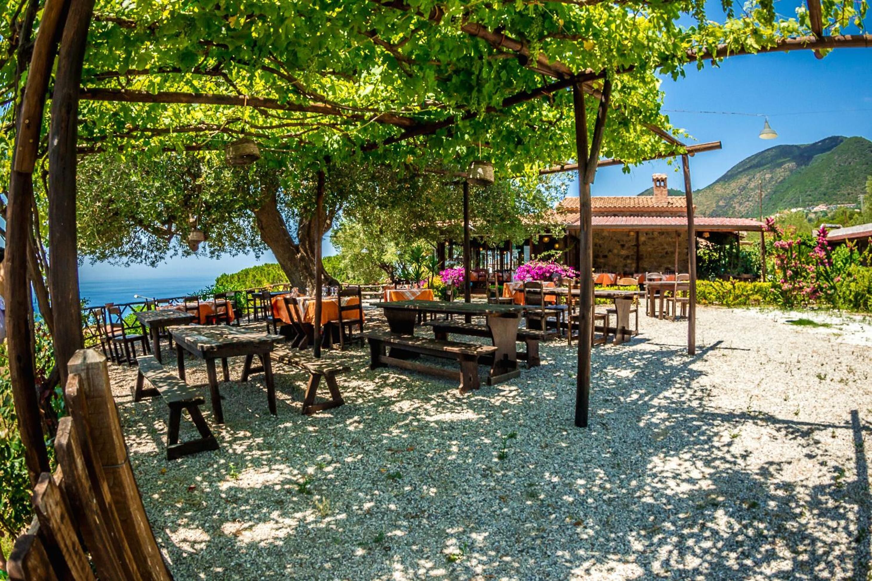 An outdoor seating area with tables and chairs, surrounded by trees and a view of the sea.