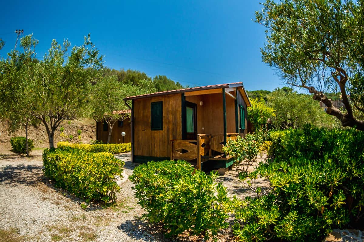 Eine Holzhütte mit Veranda, umgeben von dichtem Grün und Bäumen.
