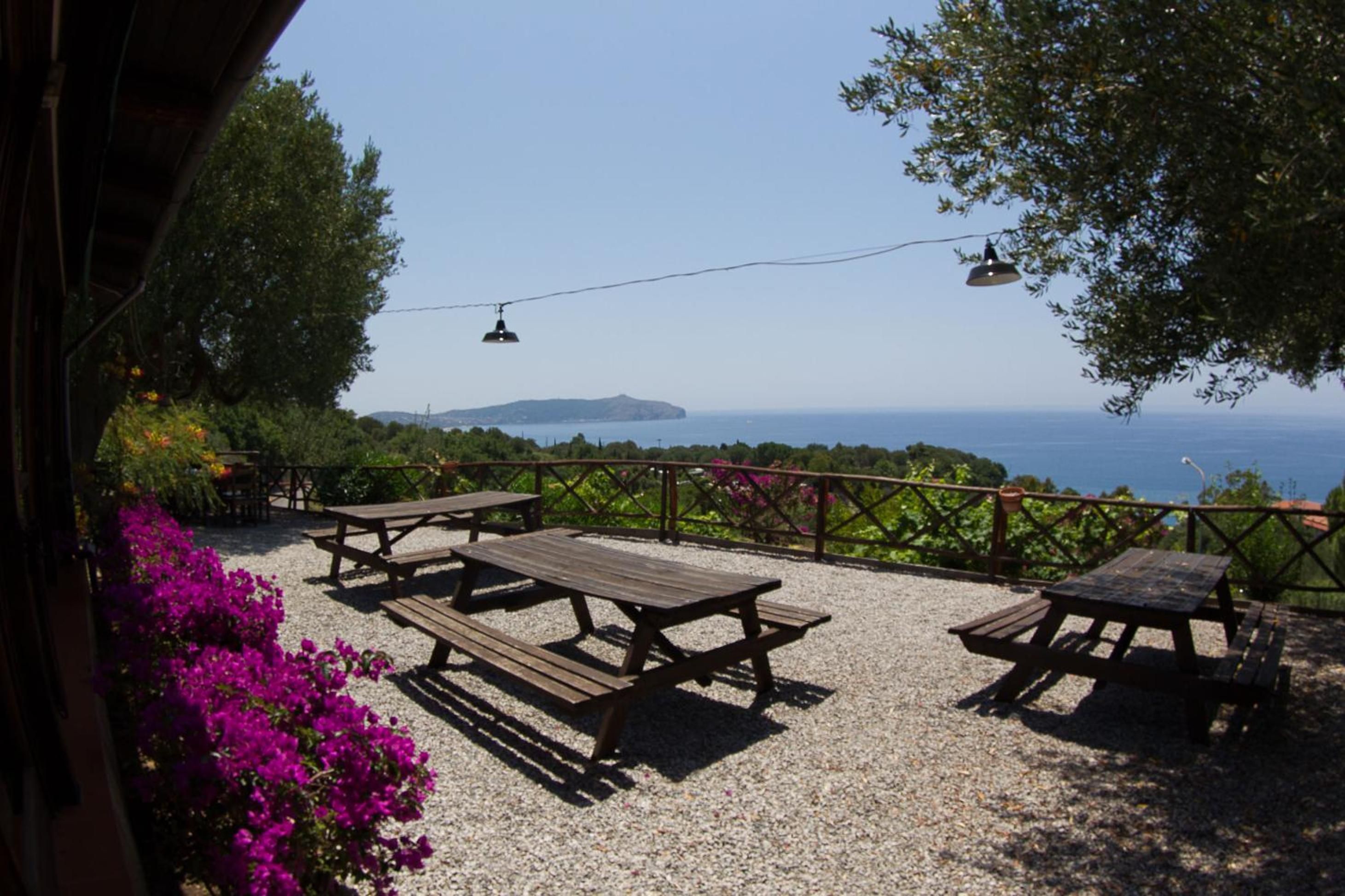 An outdoor seating area with picnic tables and a view of the sea.