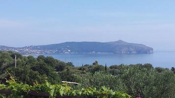 A coastal landscape with a hill in the distance, vegetation in the foreground, and a clear sky.