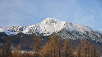 A mountain with snow-covered peaks and a forested foreground.