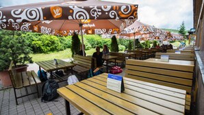 An outdoor seating area with wooden benches and tables, covered by patterned umbrellas, and surrounded by greenery.