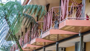 A multi-level building with balconies, air conditioning units, and a large fern plant. - Hotel Arenal Palace (La Fortuna)