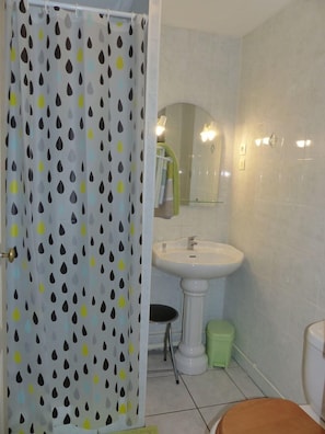 Habitació doble per a ús individual | Bany | Dutxa, assecador de cabells i tovalloles