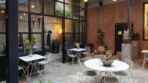 Et moderne udendørs opholdsområde med borde og stole, omgivet af store vinduer og plantekrukker.