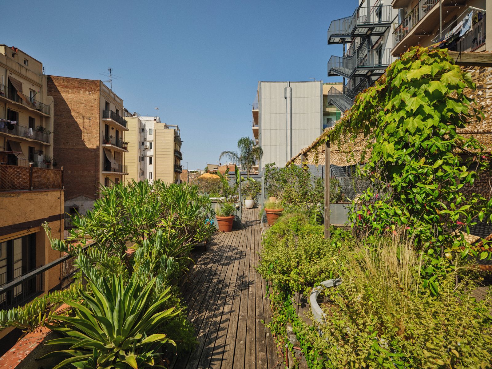Terraza o patio
