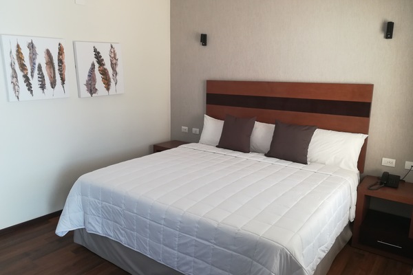 Room, 1 King Bed | Desk, soundproofing, iron/ironing board, free WiFi