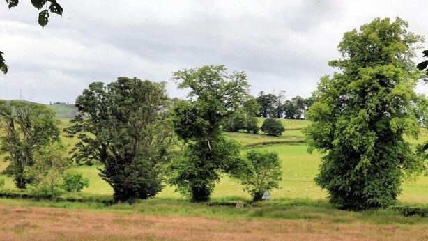 A rural landscape with rolling hills, scattered trees, and a field in the foreground.