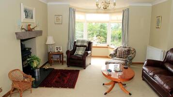 Televisión de pantalla plana y chimenea