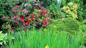 Property grounds - Westacre Bed & Breakfast (Crieff)