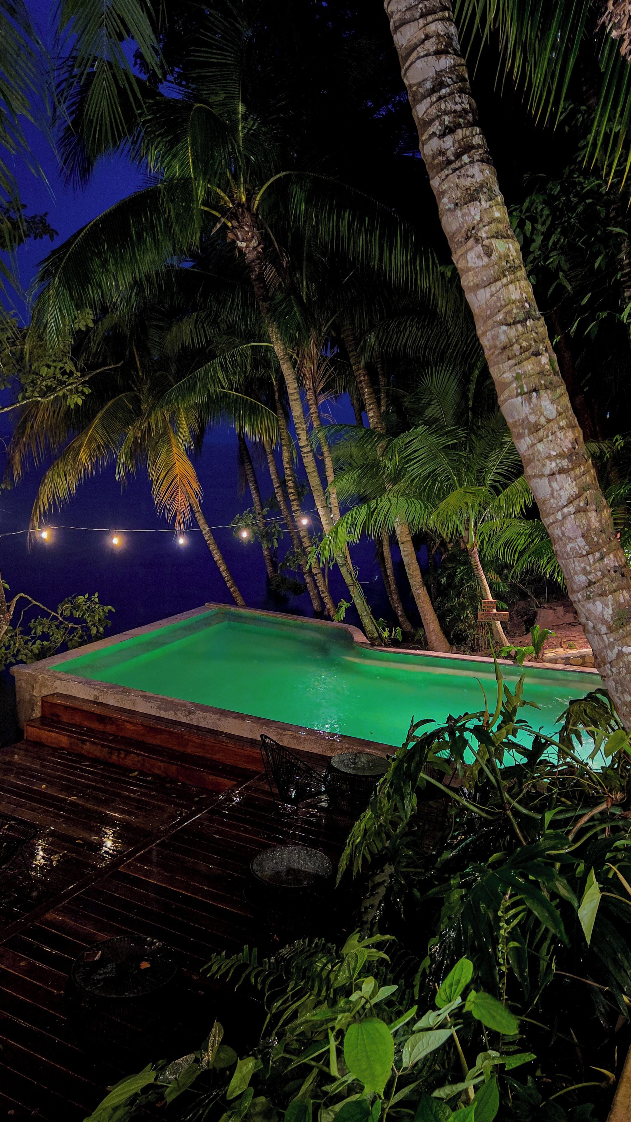 A pool area with a green surface, surrounded by palm trees and plants.