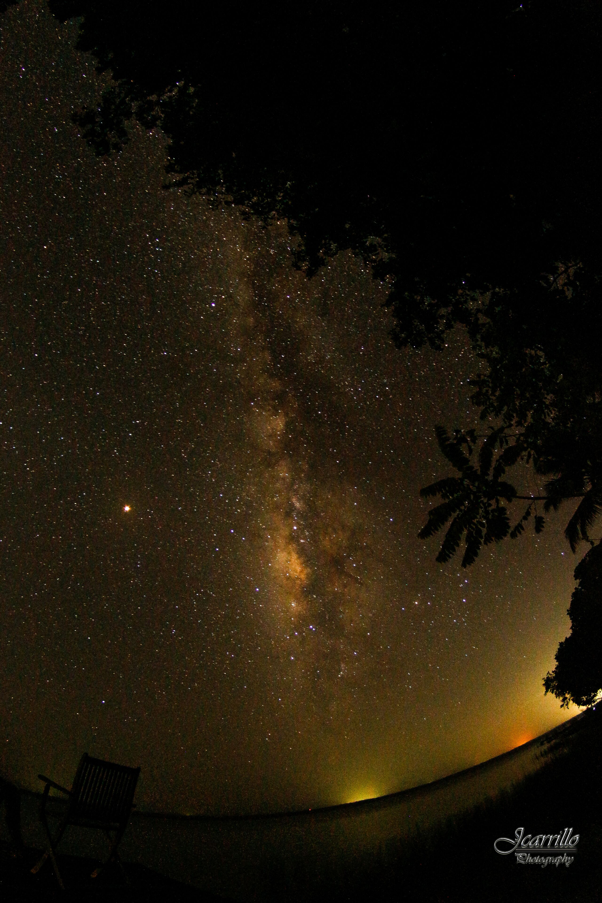 A night sky filled with stars, a silhouette of a tree, and a chair.