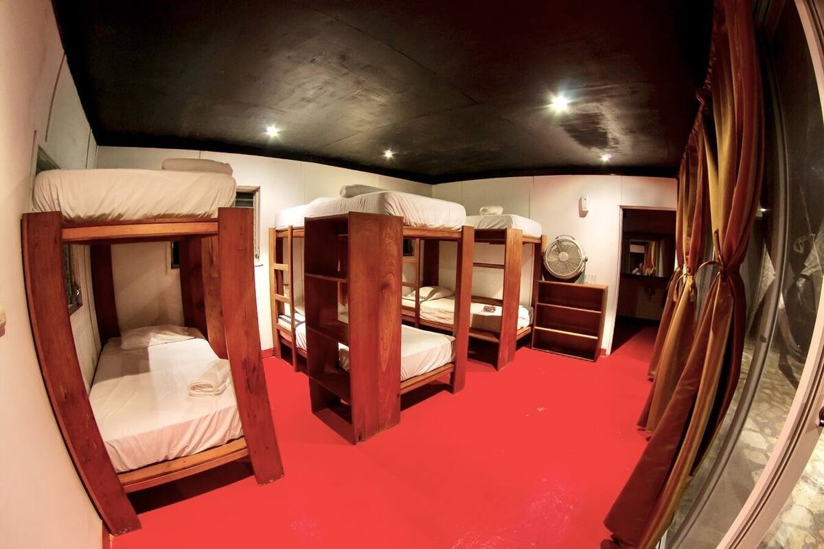 Una habitación con literas, alfombra roja y un ventilador de techo.