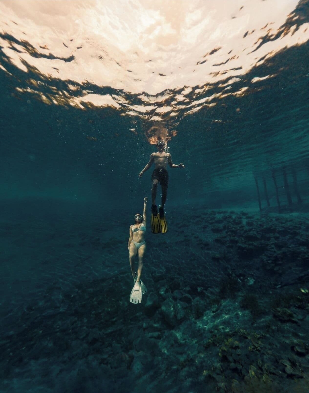 An underwater scene with a diver and a dog, both wearing fins, swimming towards the surface.