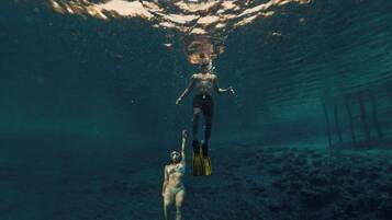 An underwater scene with a diver and a dog, both wearing fins, swimming towards the surface.