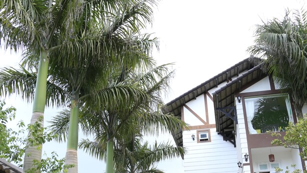A courtyard with a white building, palm trees, and potted plants. - Hoai Huong Homestay (Lam Vien - Da Lat)