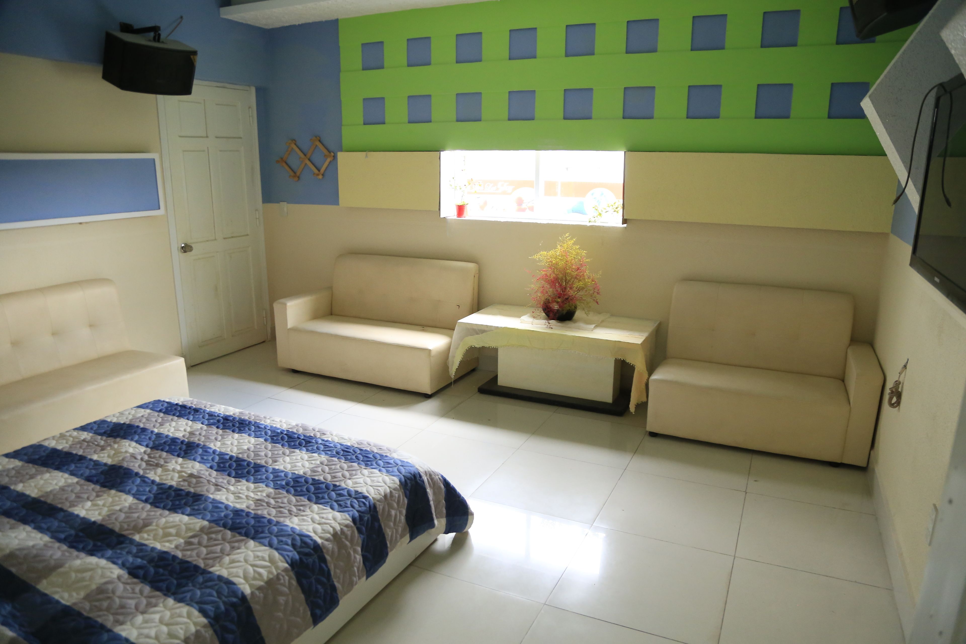 A bedroom with a bed, two sofas, a small table with a vase, a window, and a green wall with square cutouts.