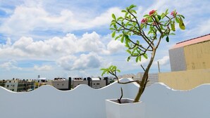 A rooftop garden with a potted tree and a clear sky. - Summer Sea Hostel (Magong)
