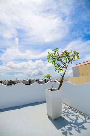 Uitzicht vanuit accommodatie