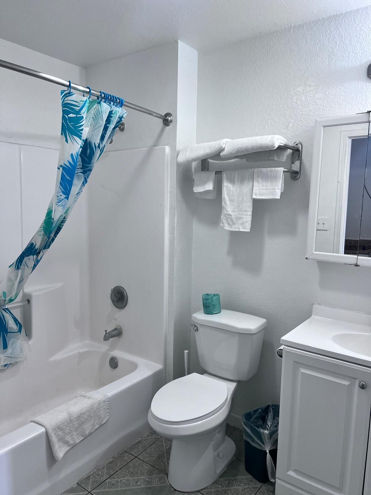 Premium Room, 1 King Bed, Kitchenette | Bathroom | Free toiletries, hair dryer, towels