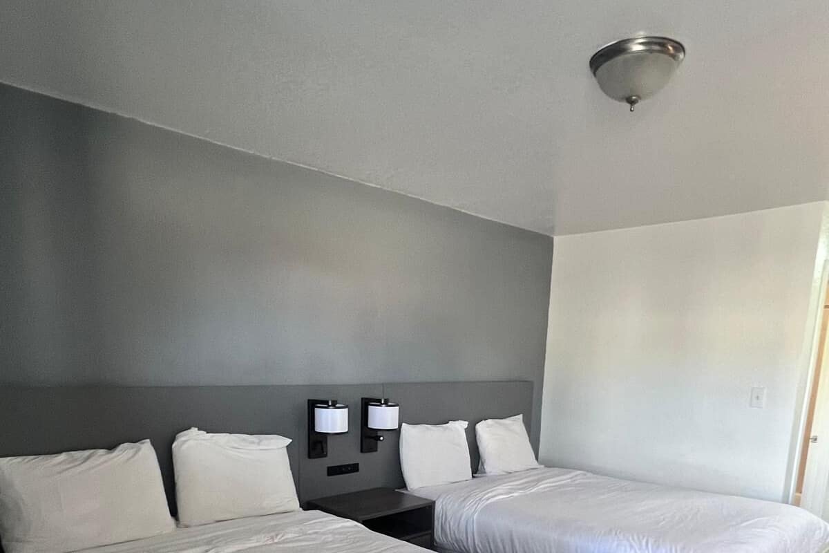 Une chambre d’hôtel avec deux lits simples, une tête de lit sombre, deux lampes fixées au mur et un luminaire au plafond.