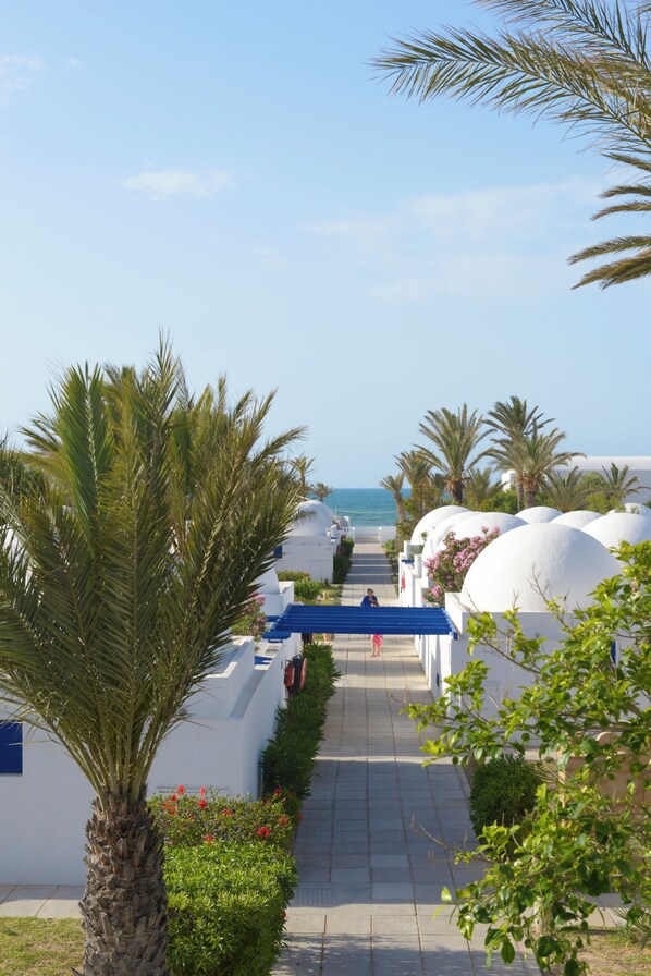 A pathway leading to a beach with white buildings and palm trees.