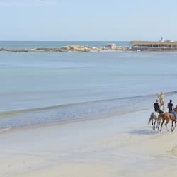 Praia particular, prática de mergulho autônomo