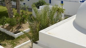 Un resort con edificios blancos y techos abovedados, rodeado de palmeras y vegetación.