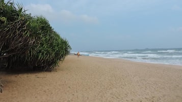 Plage, plongée sous-marine, snorkeling