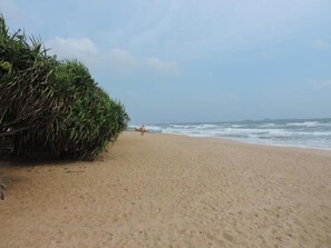 A sandy beach with a large bush on the left and a person in the distance. - Sea View Beach Hotel (Nilaveli)