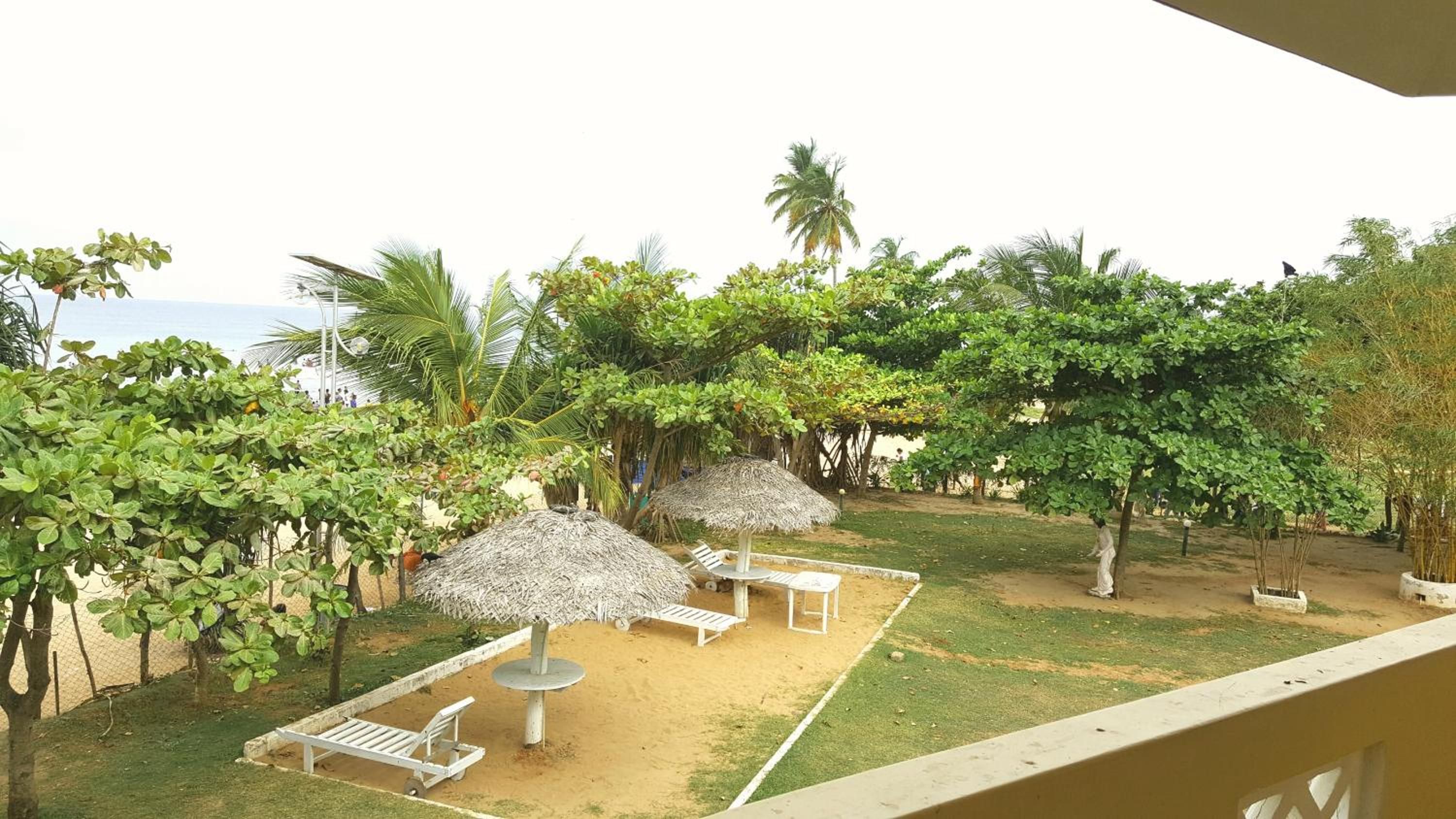Un jardín tropical con sombrillas de paja, asientos y palmeras.