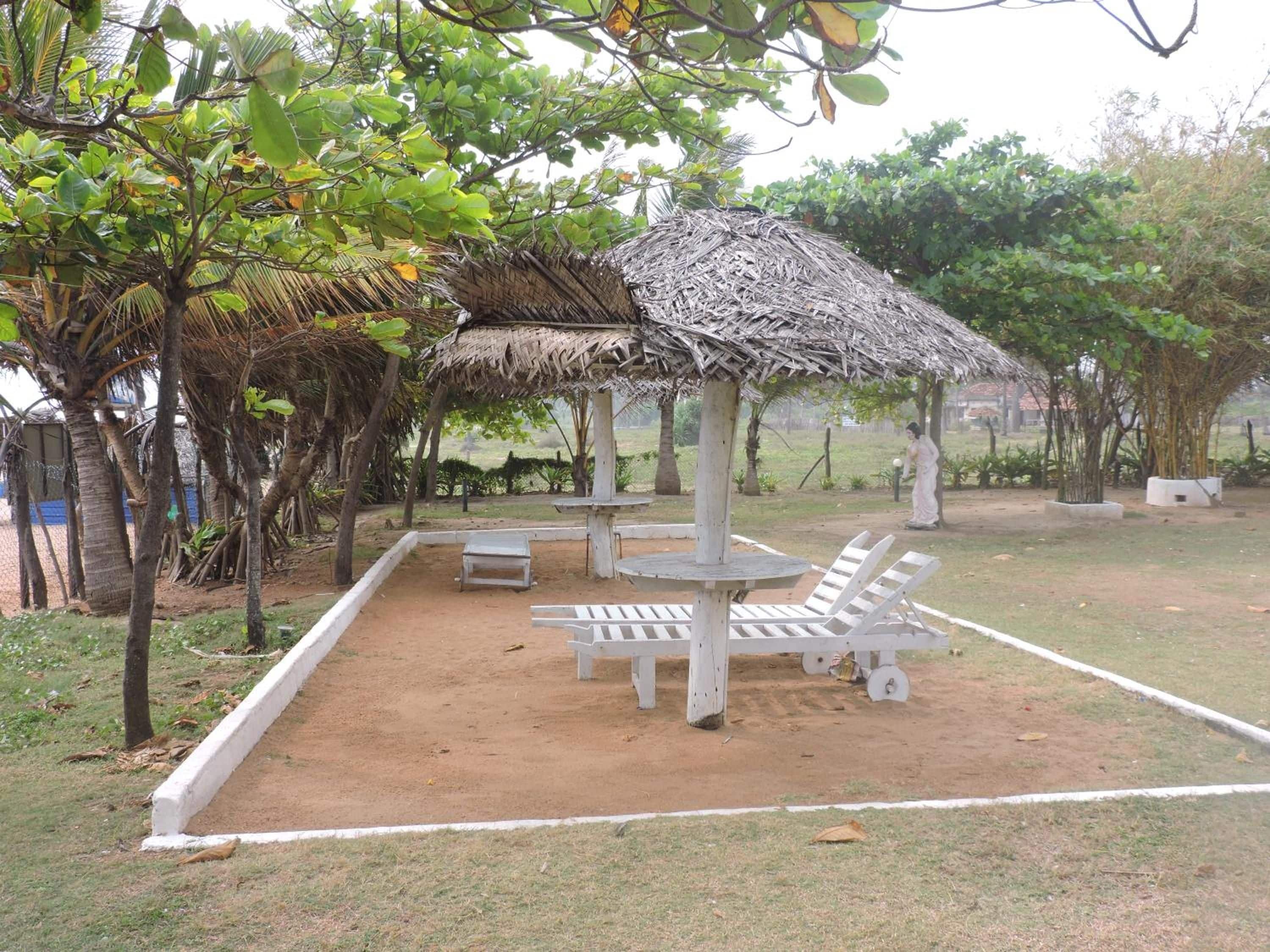 A gazebo with a thatched roof, surrounded by a garden with palm trees and a seating area with benches.