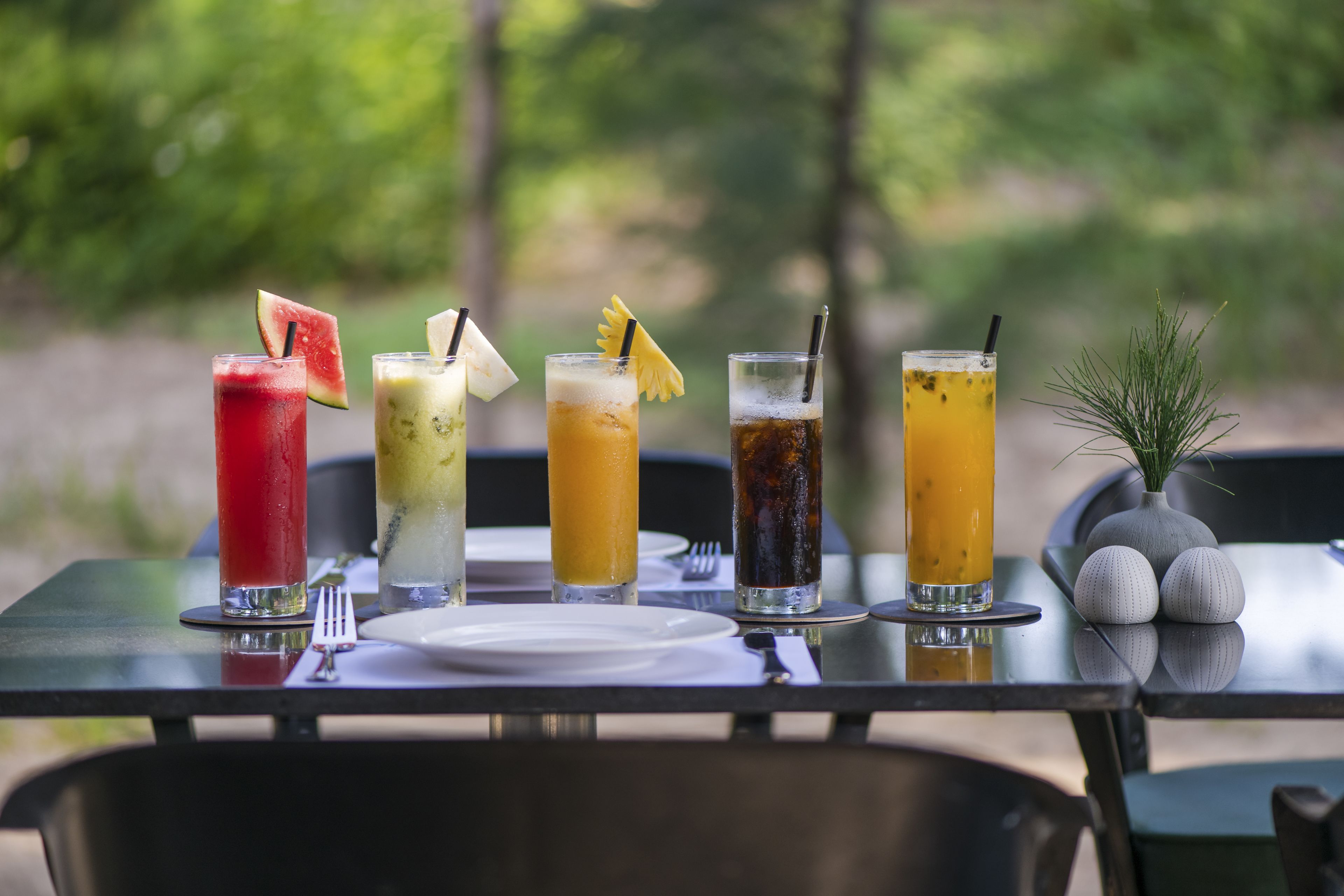 A table with four drinks, a plate, and a small plant.