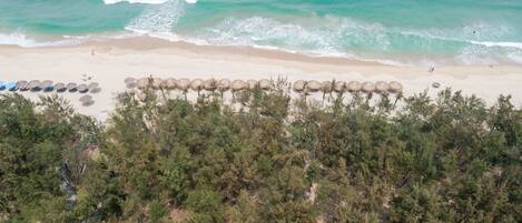 An aerial view of a beach with rows of thatched umbrellas and dense pine trees in the foreground.