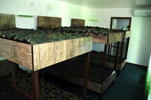 Dortoir Partagé, dortoir mixte, côté jardin (6 beds) | 2 chambres, minibar, bureau, chambres insonorisées