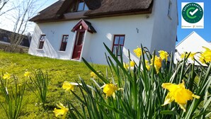 A white house with a dark roof, a red door, and a small window. There are yellow daffodils in the foreground. - Teac Chondai Thatched Cottage (Loughanure)