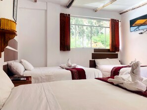 Panoramic Triple Room, Mixed Dorm, Valley View | View from room