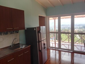 Großer Kühlschrank, Mikrowelle, Ofen, Herdplatte