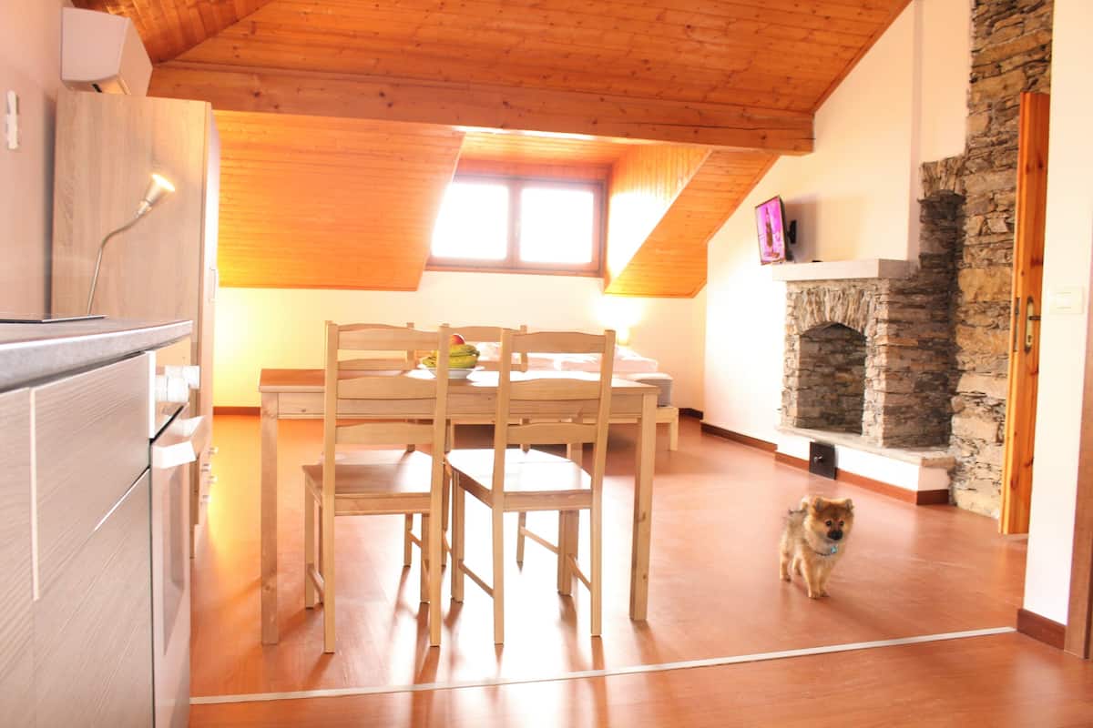 Apartment | Living room | 36-inch flat-screen TV with cable channels, TV