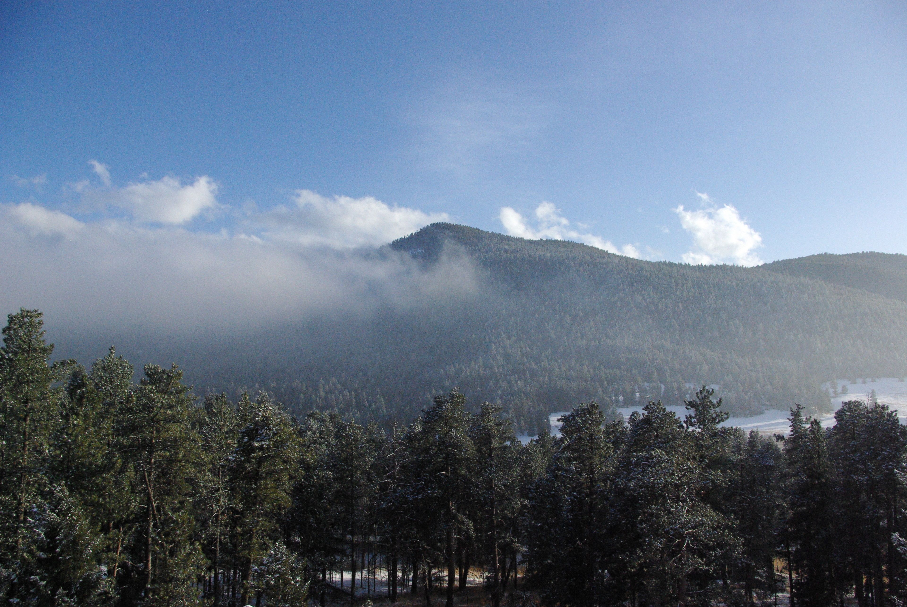 A forested mountain landscape with a clear sky.