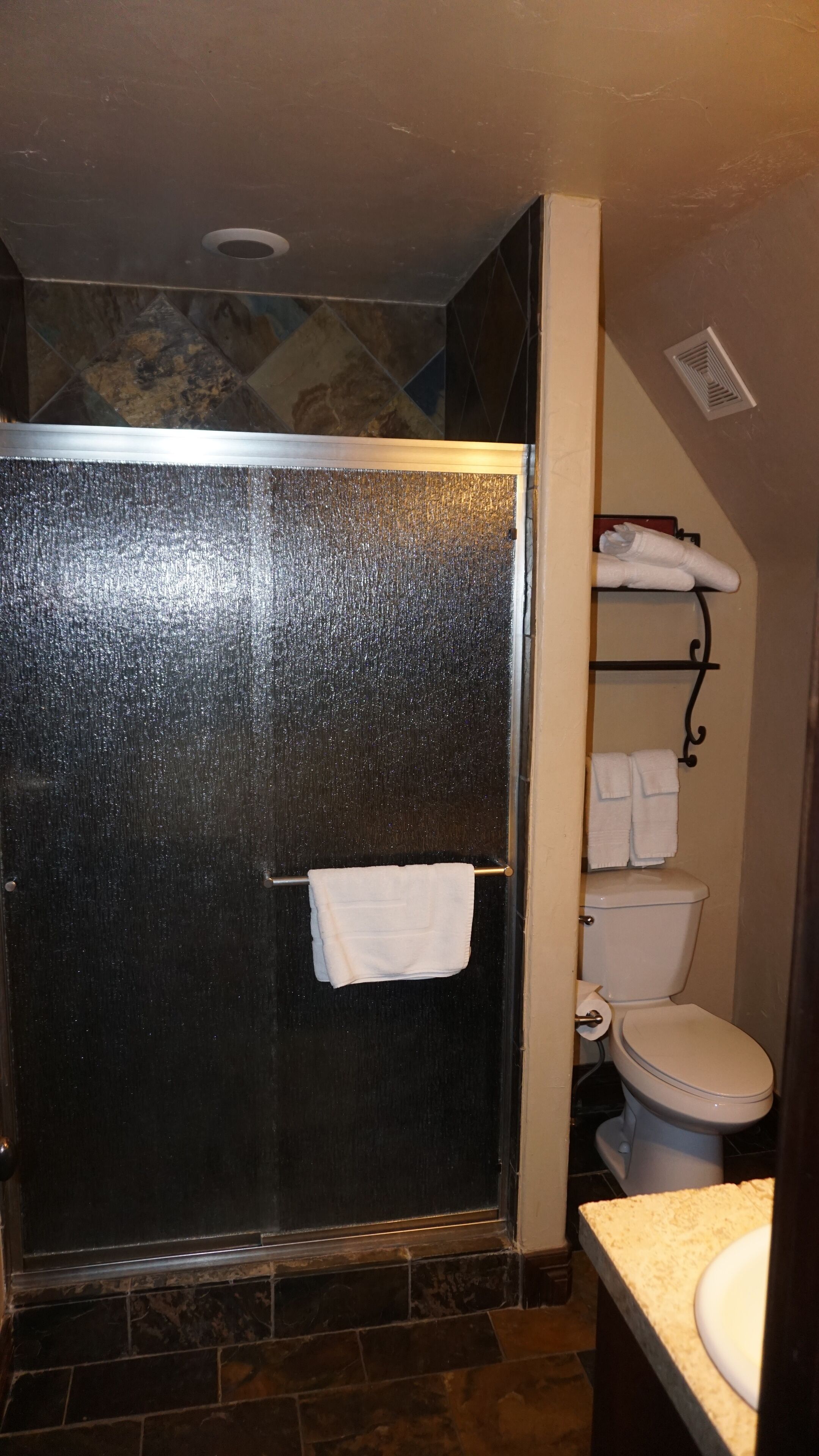 Une salle de bain avec douche, toilettes et lavabo.