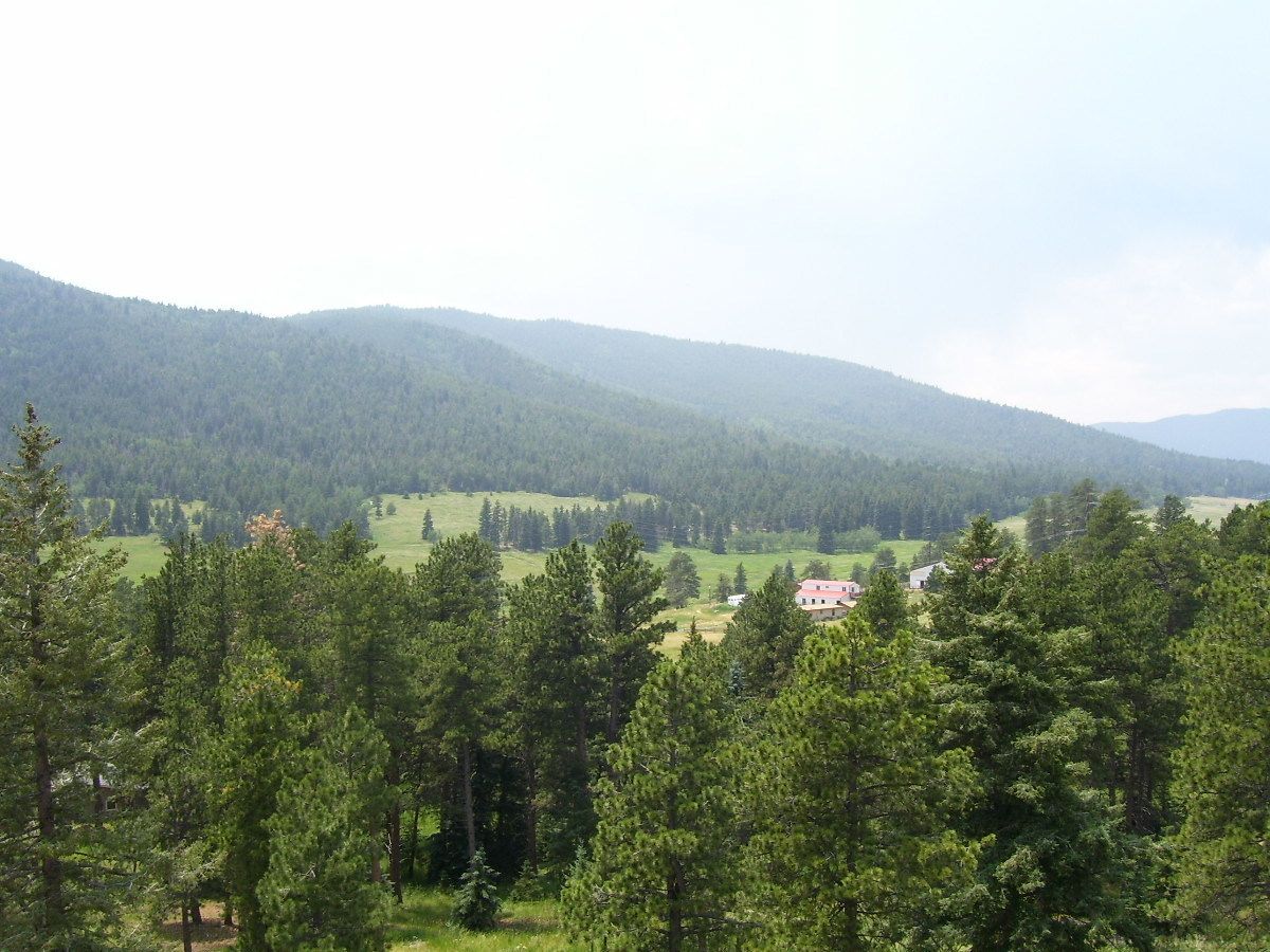 Paisaje rural con una casa rodeada de un bosque denso y colinas onduladas.