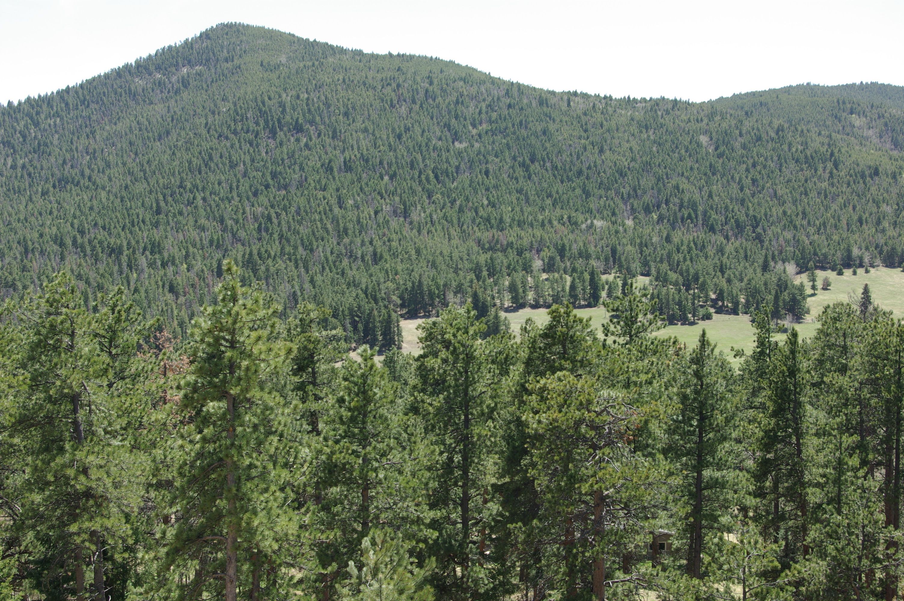 A mountainous landscape with dense forest and a clear sky.